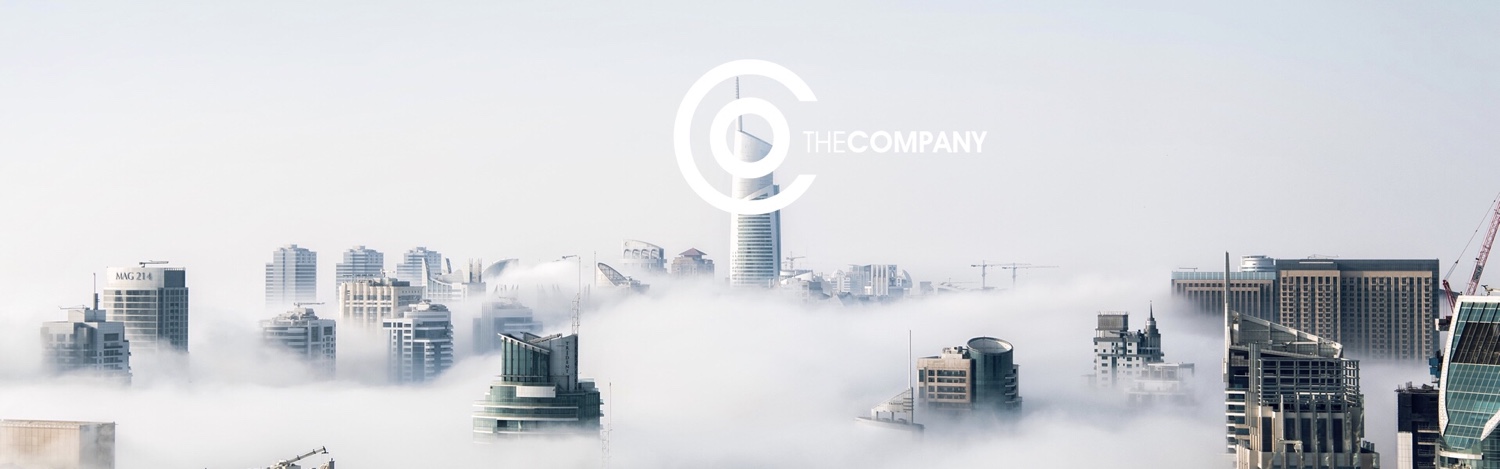 Read more about the article The Company Game: SAIL Walkthrough Guide