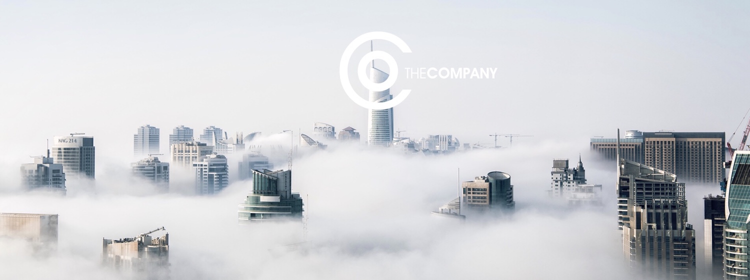 Read more about the article The Company Game: MAZE Walkthrough Guide